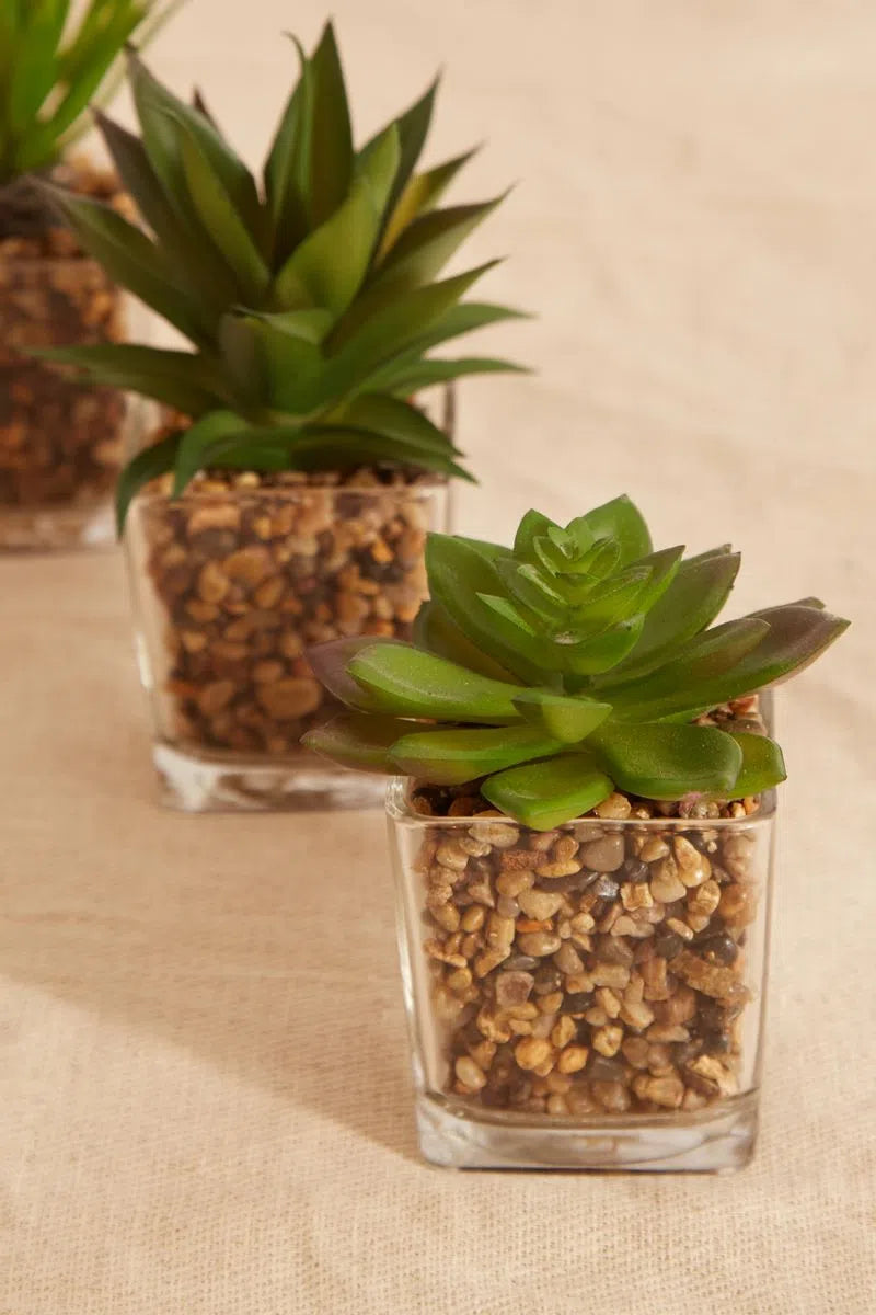 Set Of 3 Artificial Succulents In Glass Pots