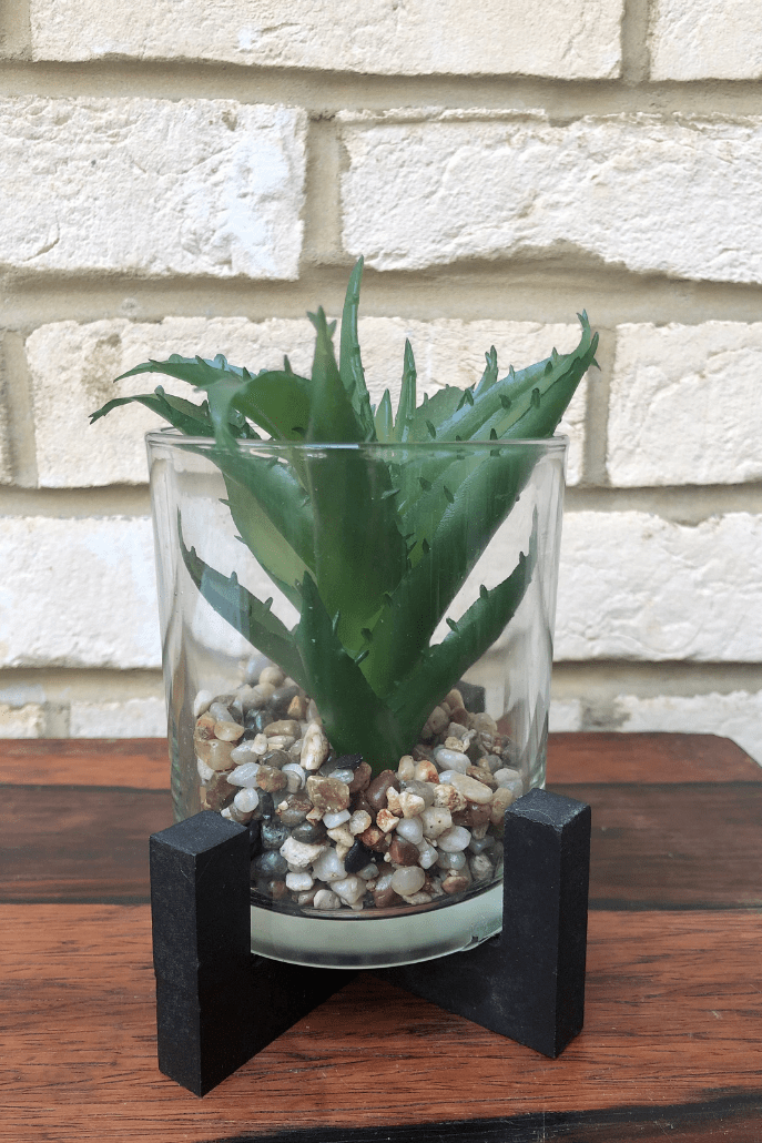 Faux Haworthia In Glass Pot With Stand - Front