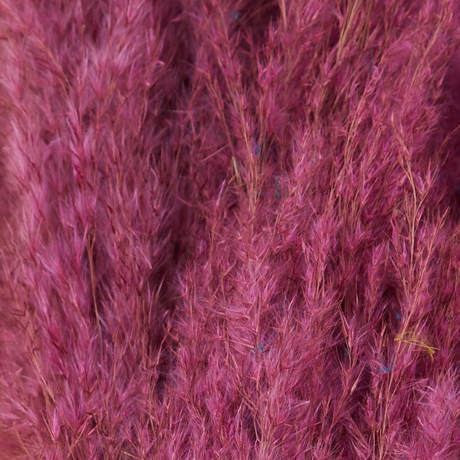 3 Stems of Wine Dried Pampas Grass - Fabric & Print Detail