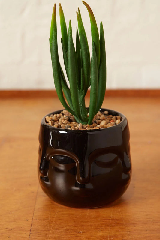 Large Faux Succulent In A Ceramic Face Planter Black