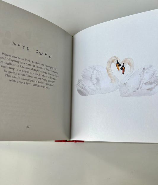 Lovebirds and other wild sweethearts