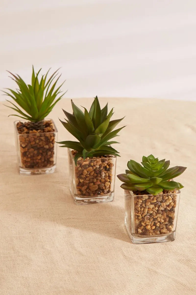 Set Of 3 Artificial Succulents In Glass Pots