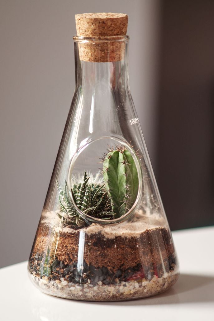 Chemistry Terrarium Kit - Detail 1