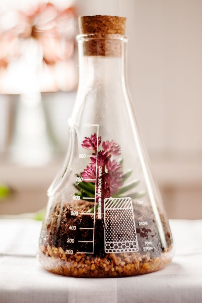 Chemistry Terrarium Kit