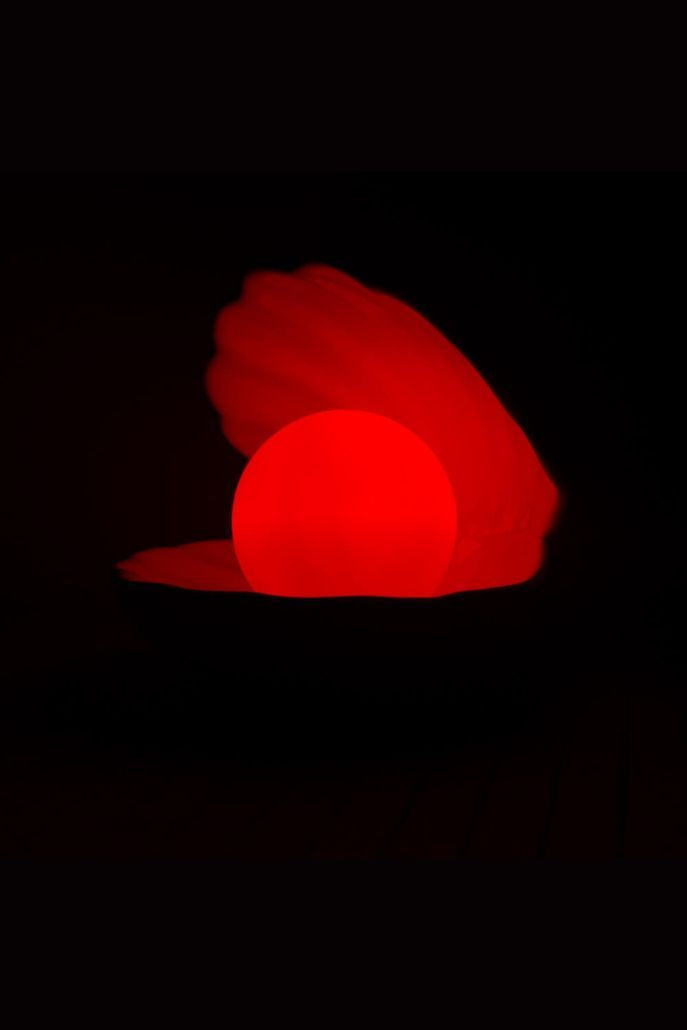 Clam Changing Colour Light