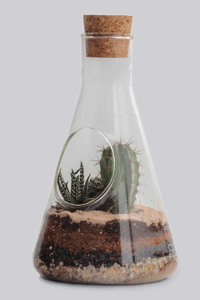 Chemistry Terrarium Kit - Detail 2