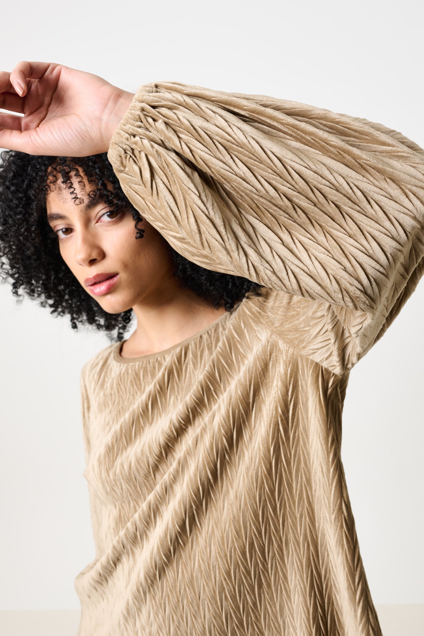 Aba Velvet Pleat Long Sleeve Top - Pale Taupe