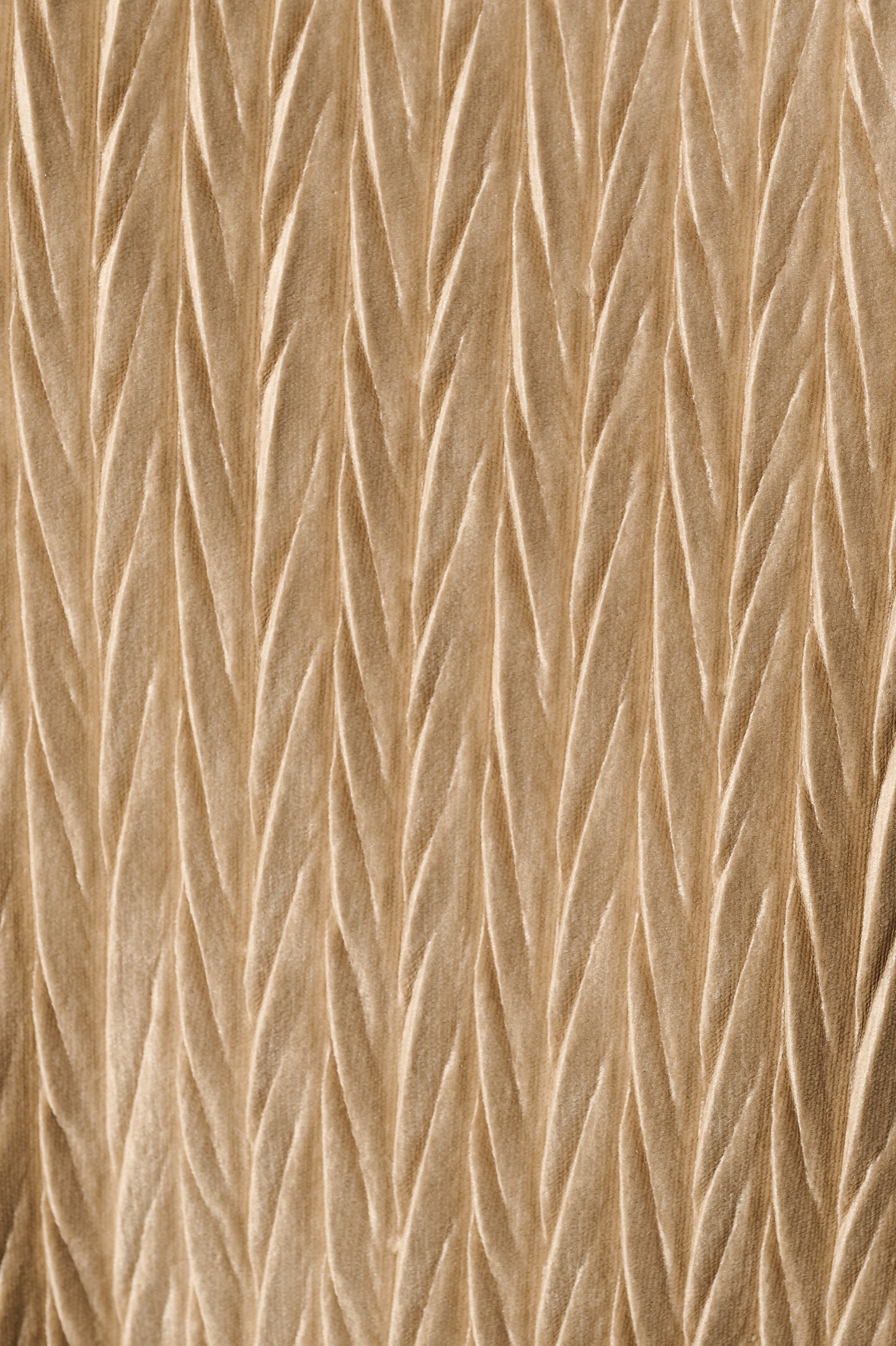 Melvin Velvet Pleat Trouser - Pale Taupe