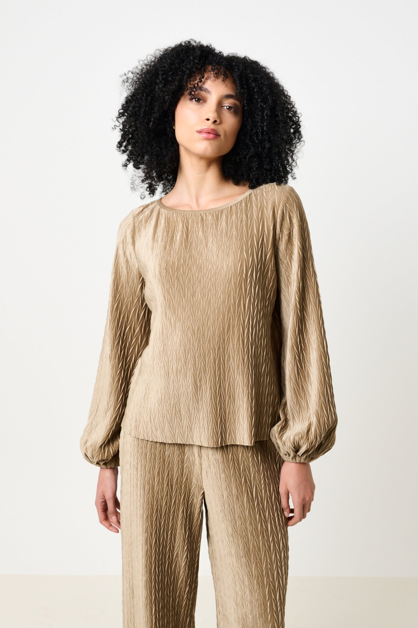 Aba Velvet Pleat Long Sleeve Top - Pale Taupe
