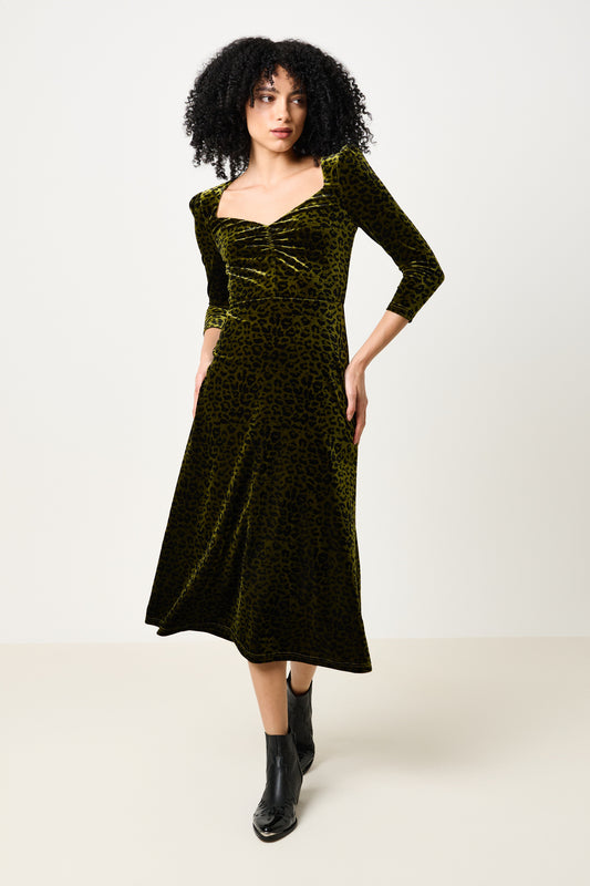Ambrose Velvet Roar Midi Dress - Kiwi