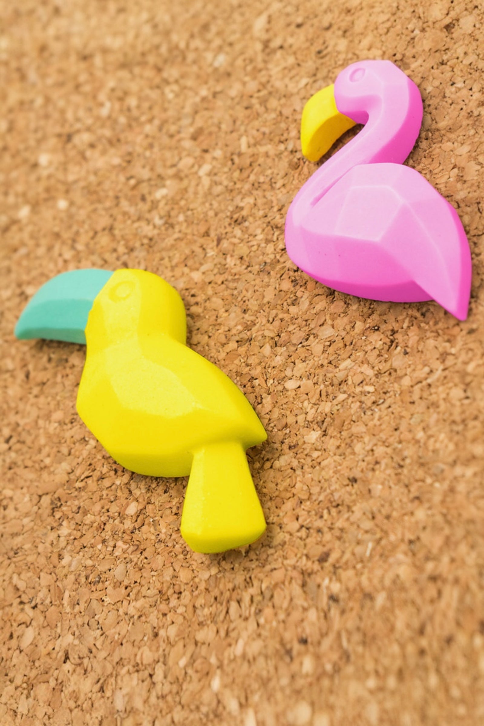 Set of 5 Flamingo And Toucan Push Pins