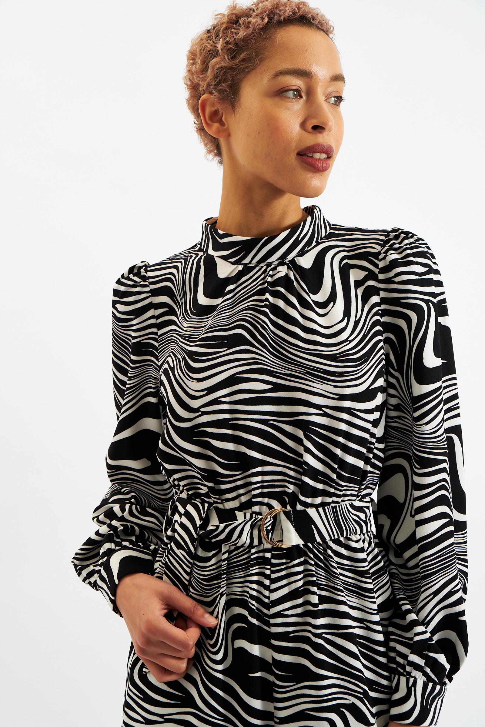 Gayane Zebra Pop Print Long Sleeve Jumpsuit - Black and White - Detail 1