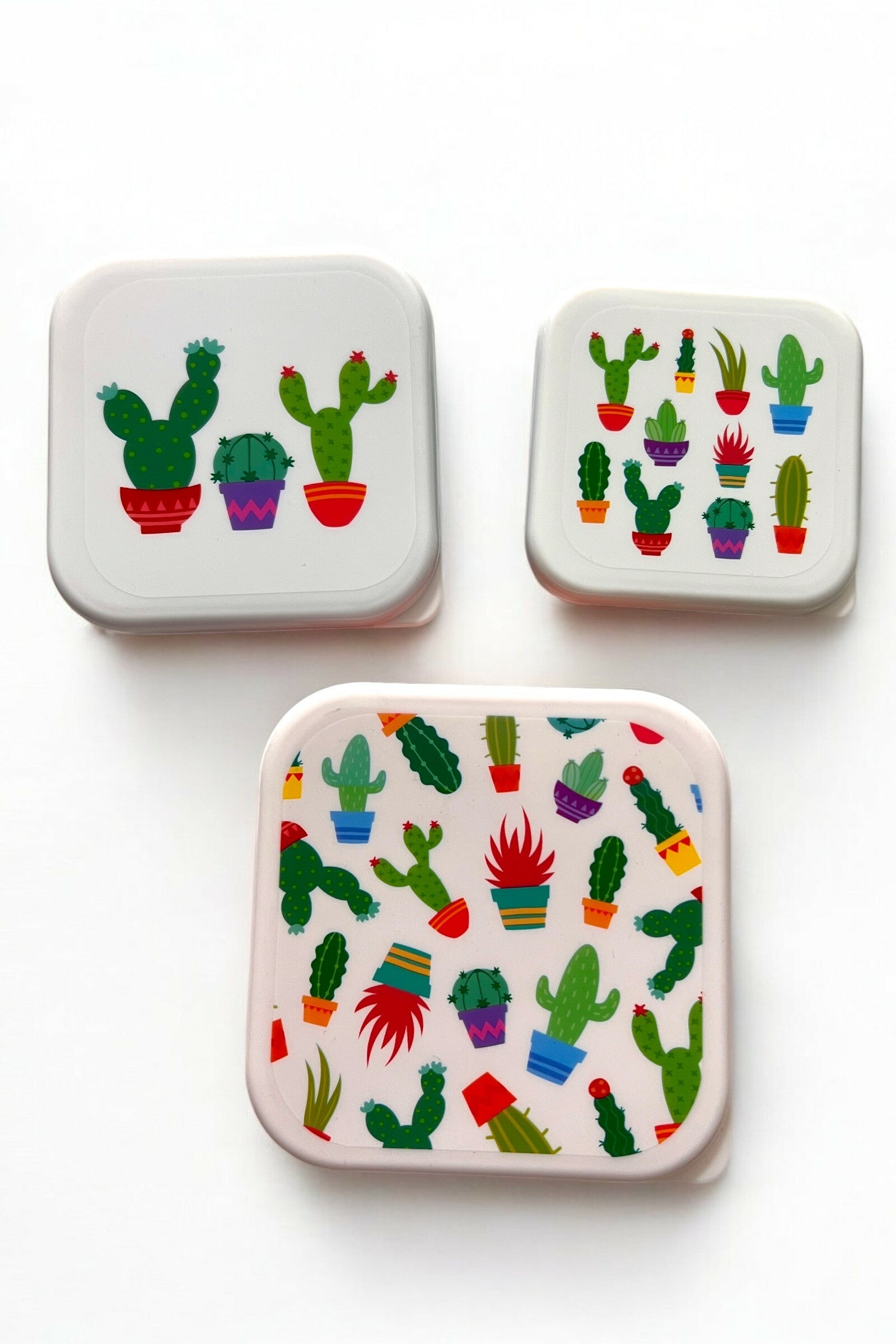 Set of 3 Cactus Printed Lunch Boxes