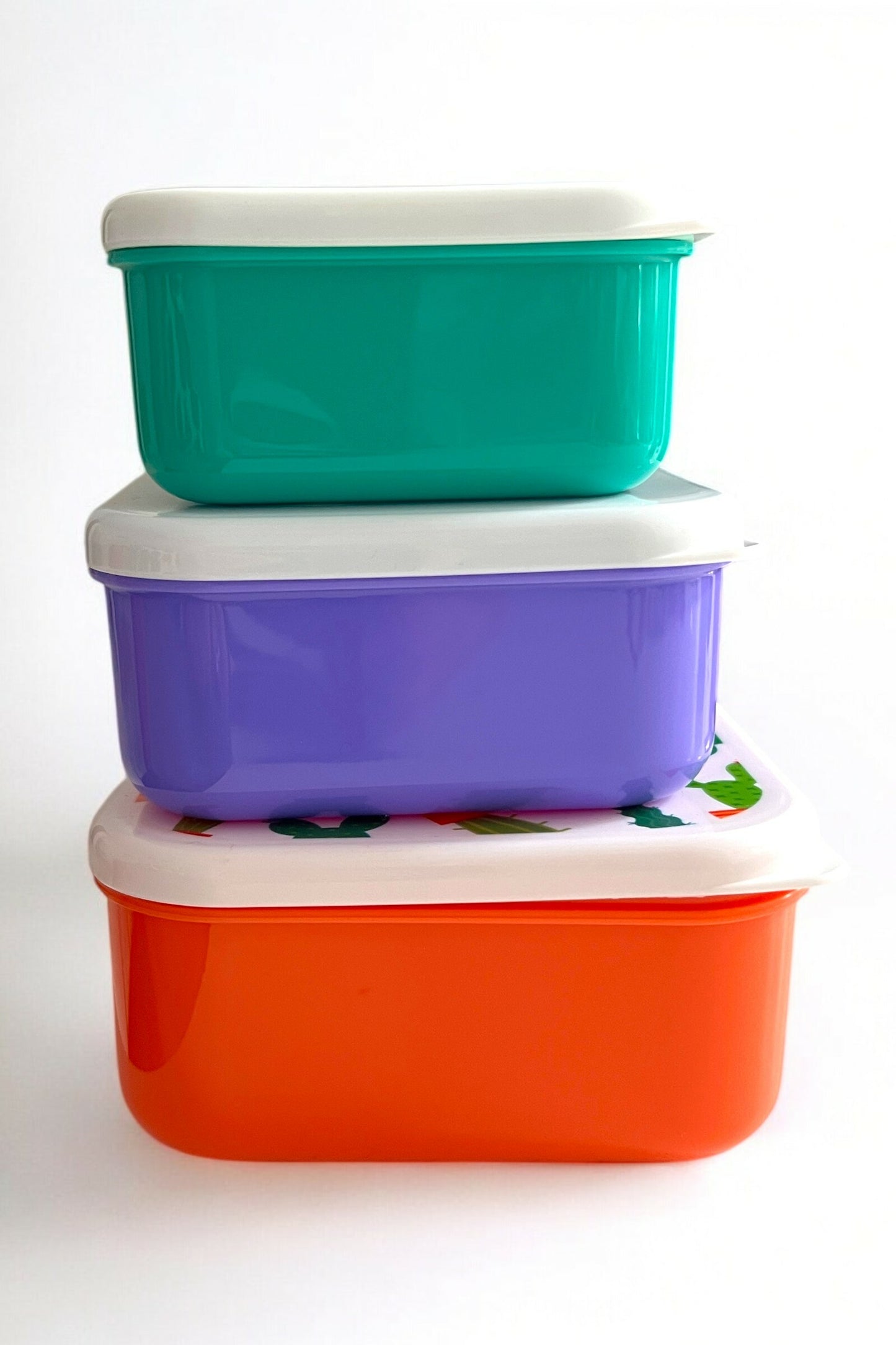 Set of 3 Cactus Printed Lunch Boxes