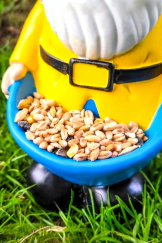 Gnome Bird Feeder
