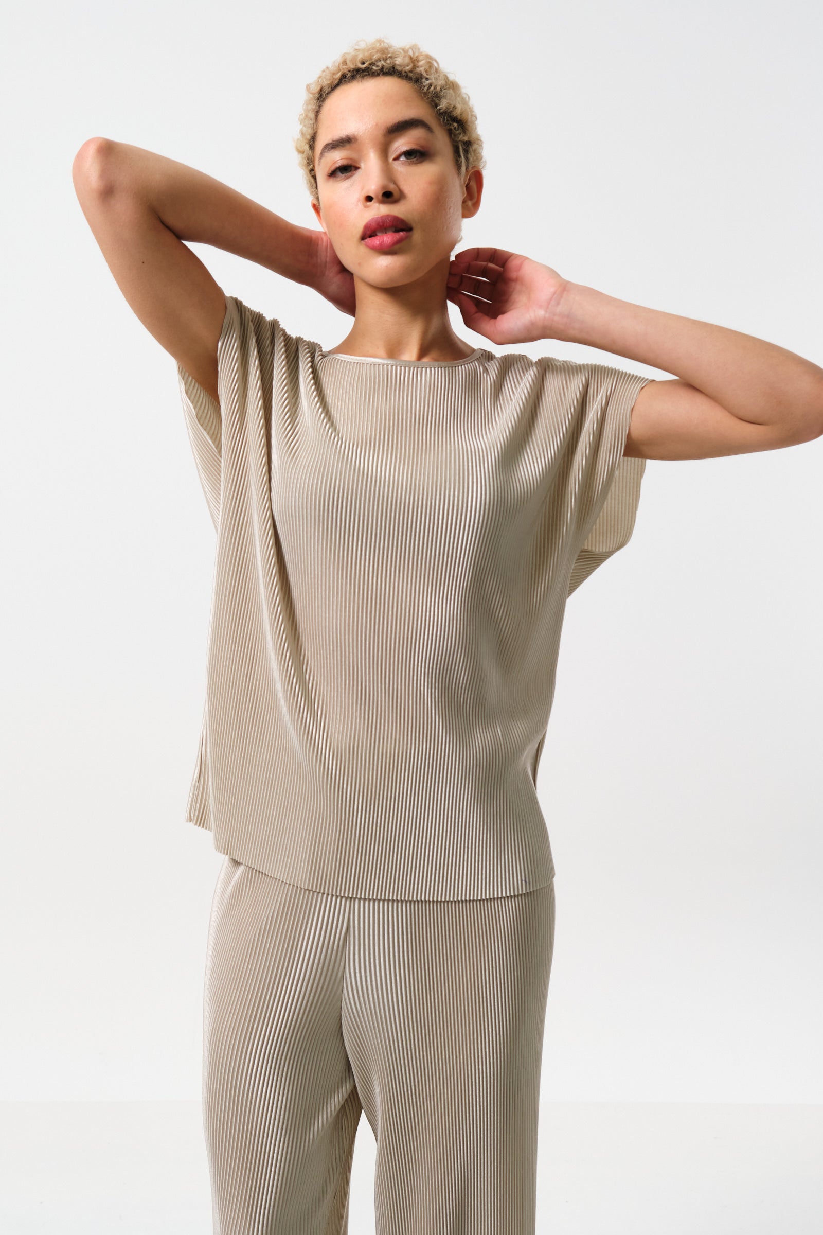Korine Pleated Short Sleeve Top - Stone - Detail 1