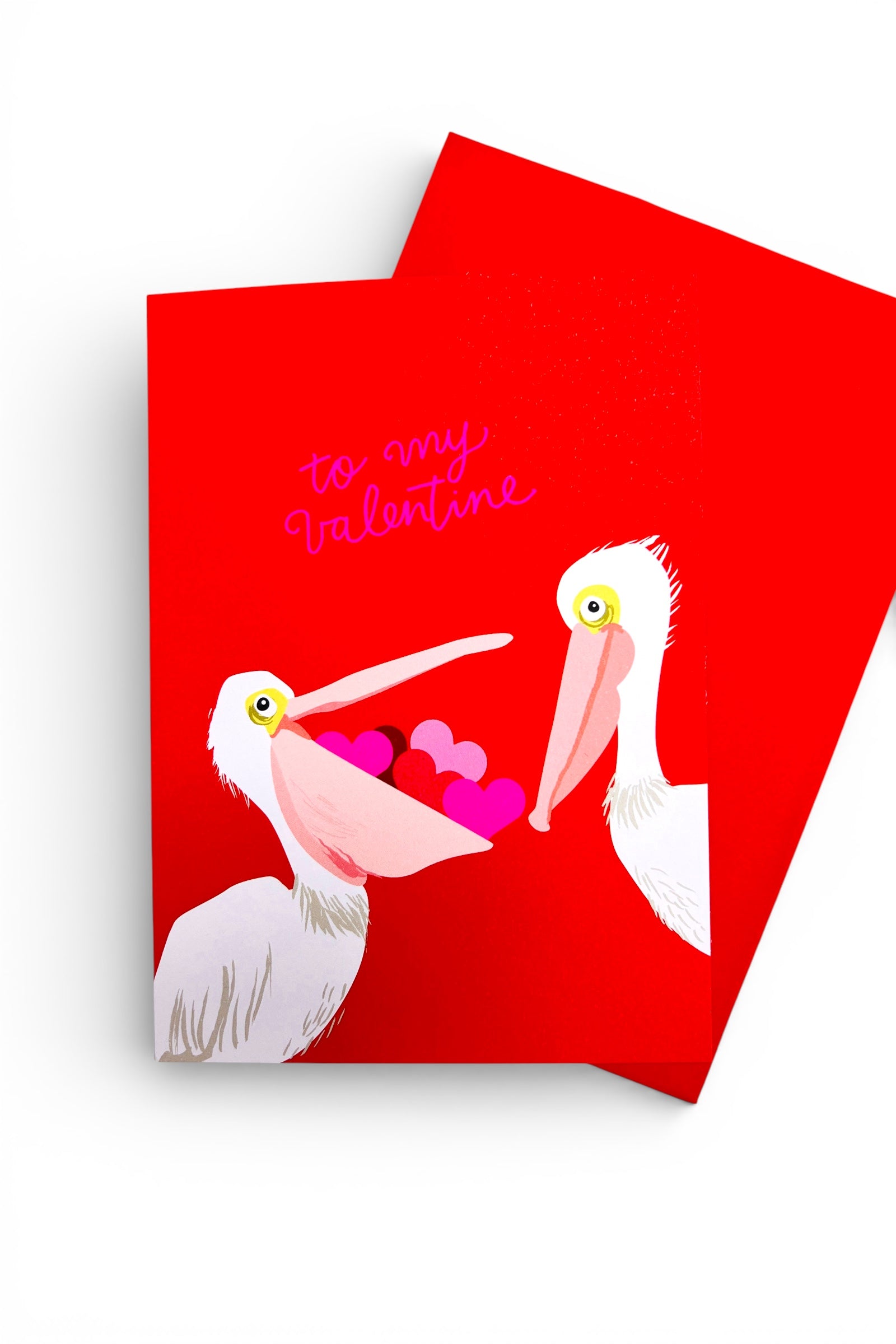 To My Valentine Pelicans