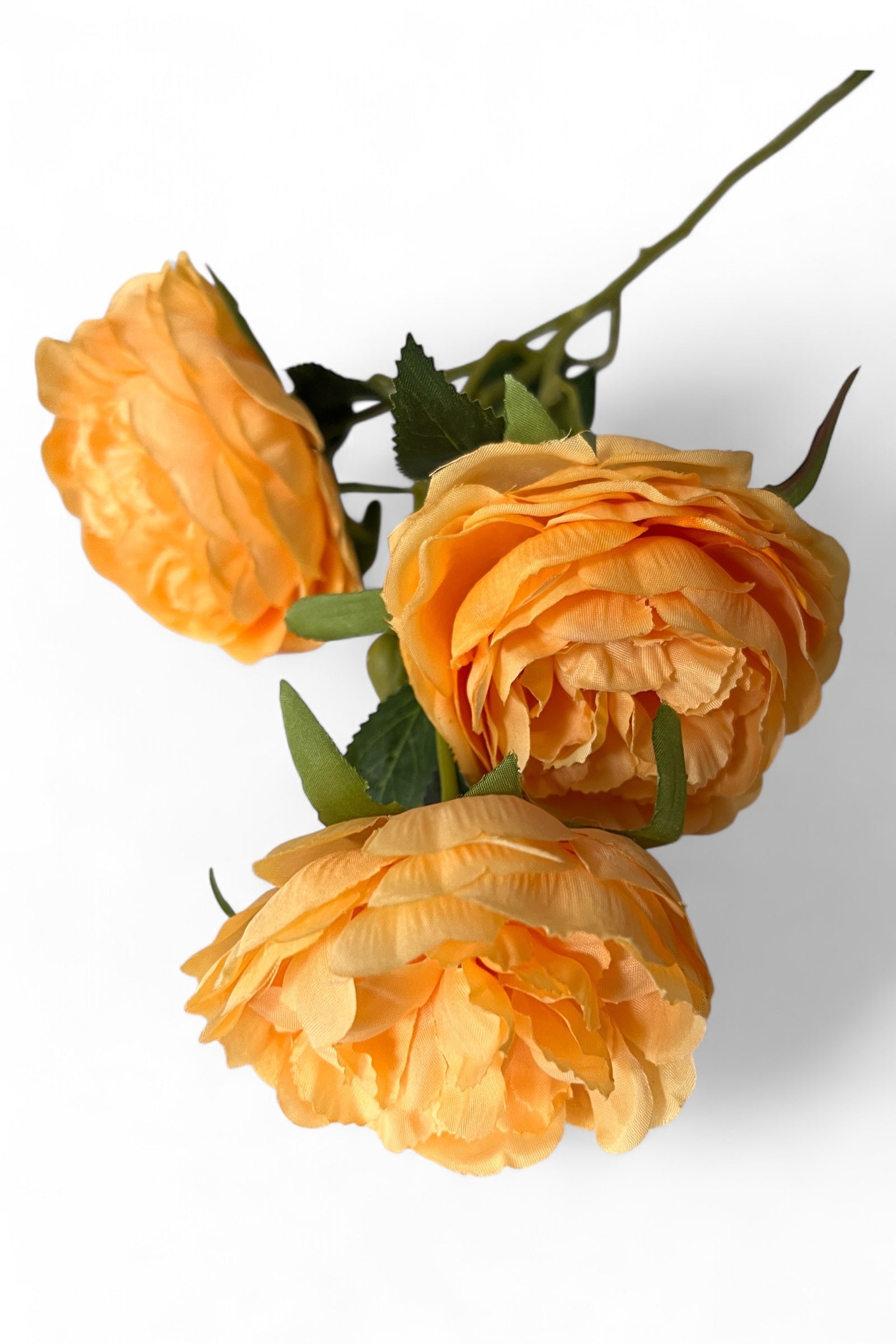 Pale Orange 3 Head Rose Stem