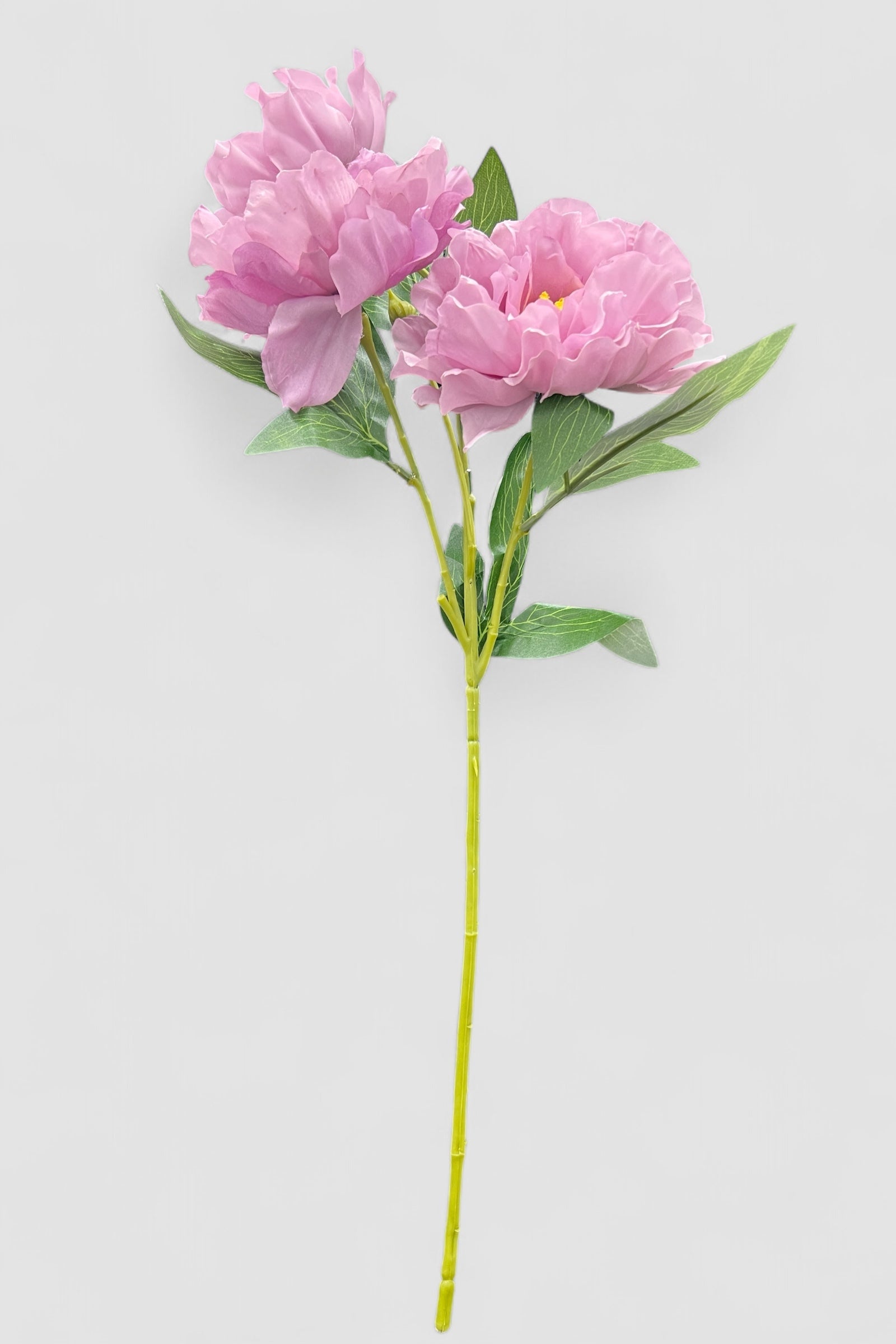 Lilac 3 Head Rose Stem