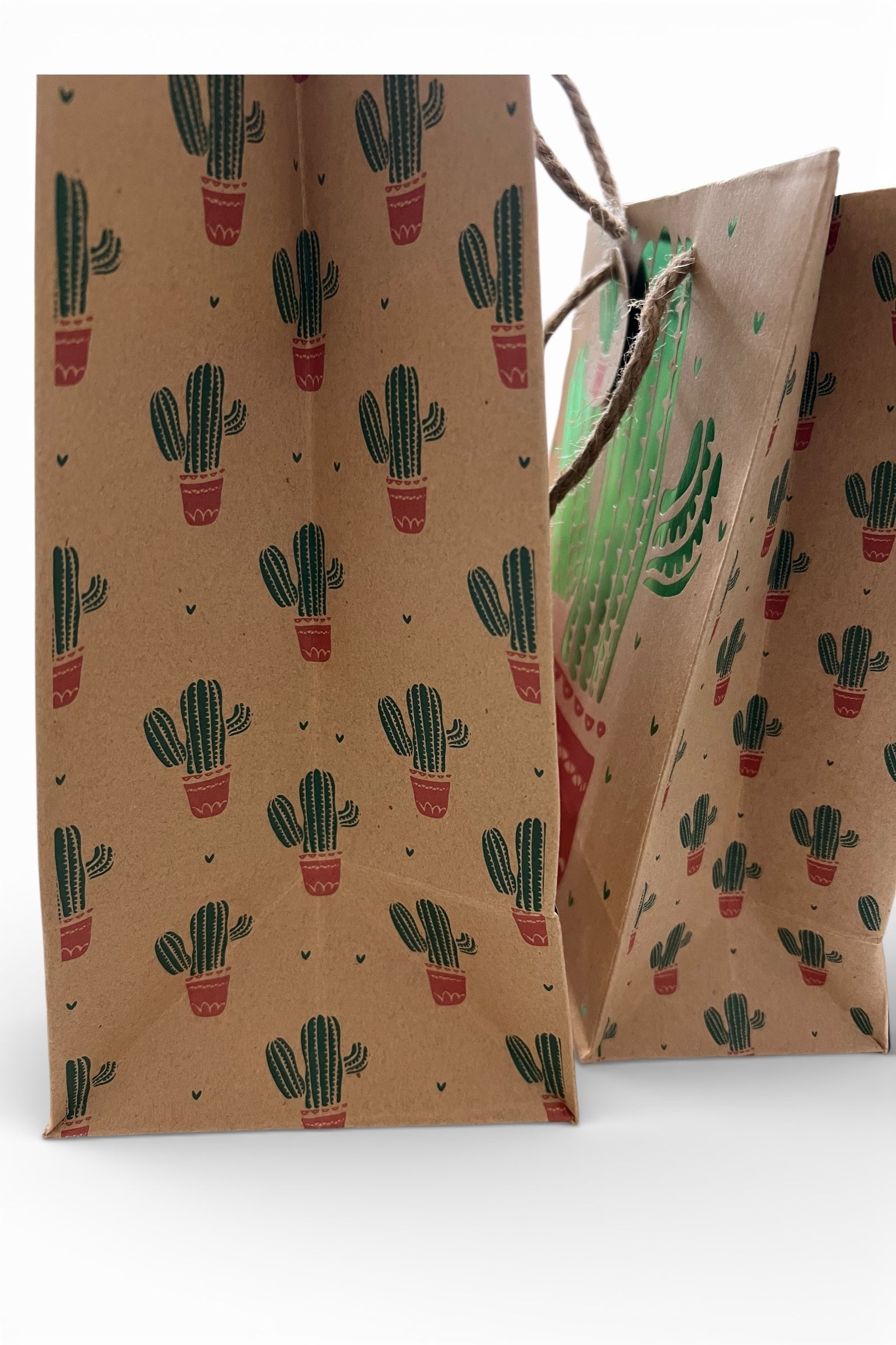 2 Cactus Gift Bags - Styled