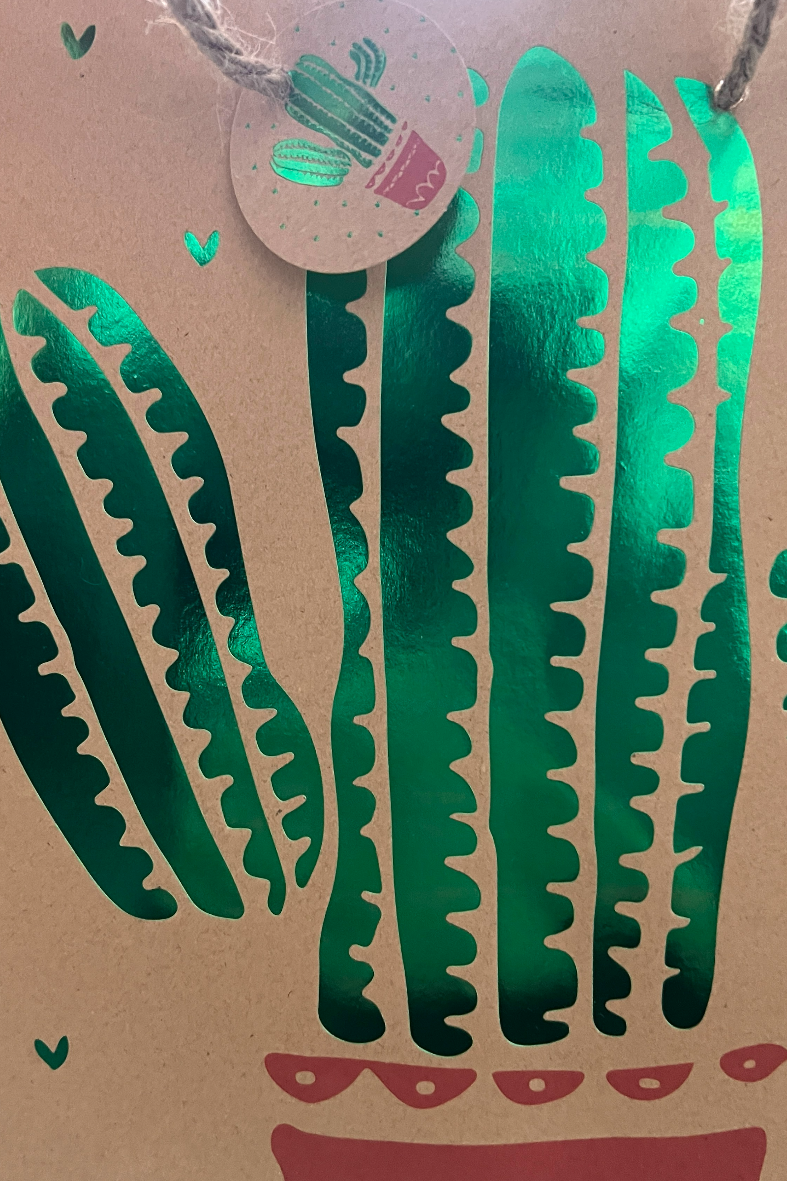 2 Cactus Gift Bags - Back