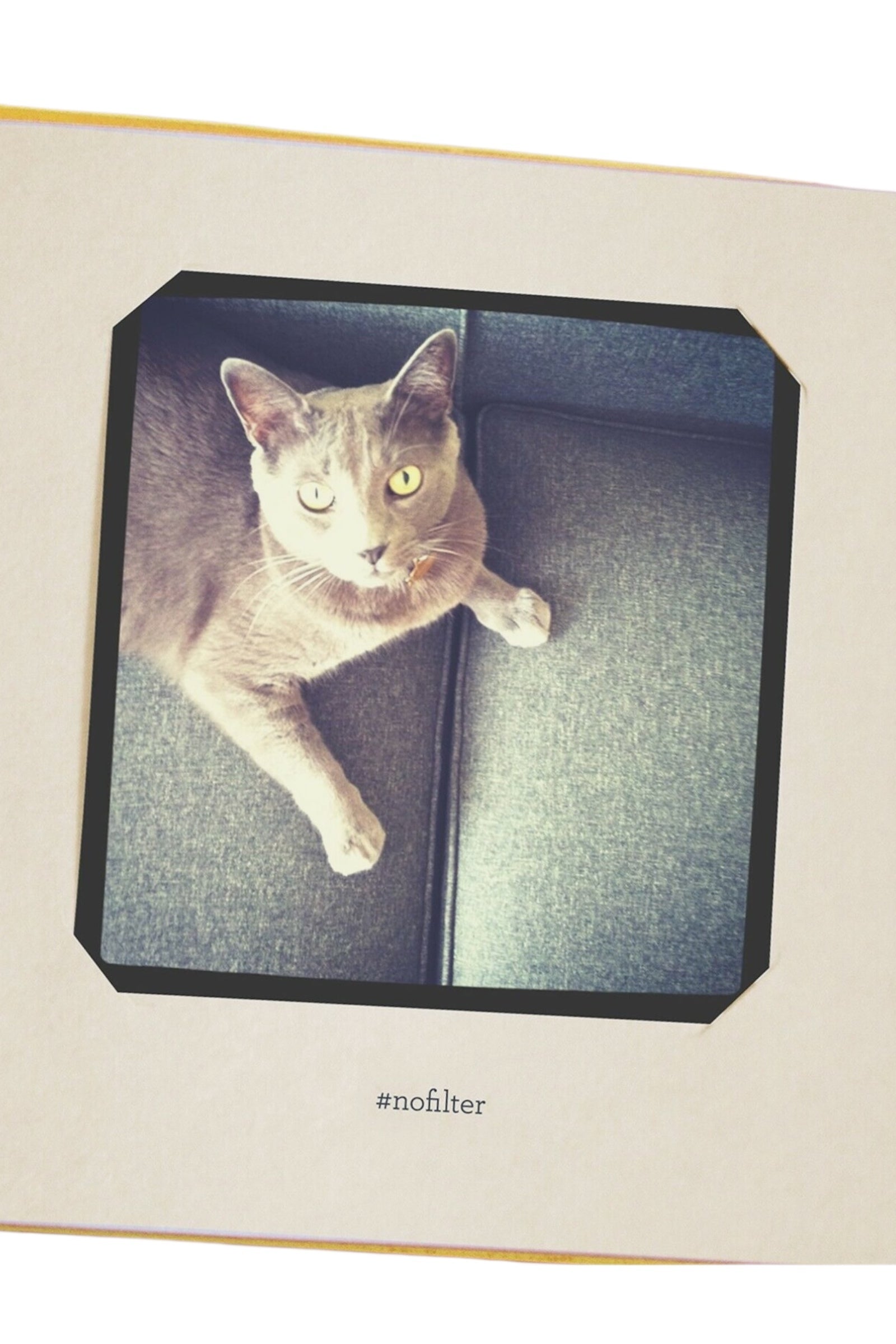 Petsies Pet Photo Album