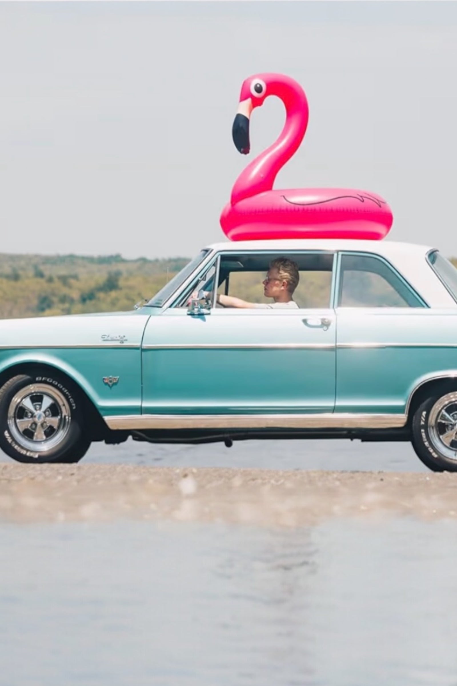 Pink Flamingo Pool Float - Styled