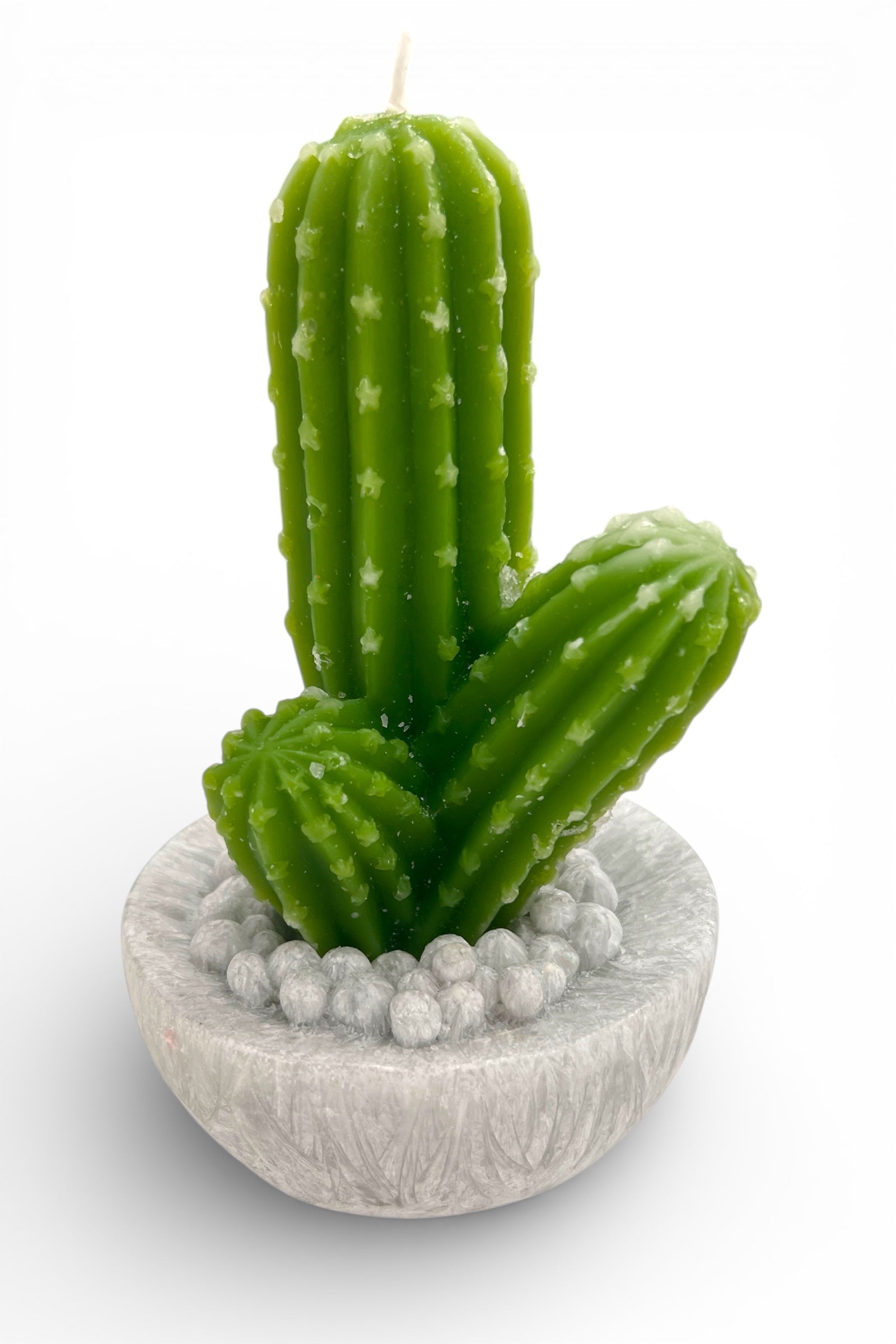 Large Cactus Candle