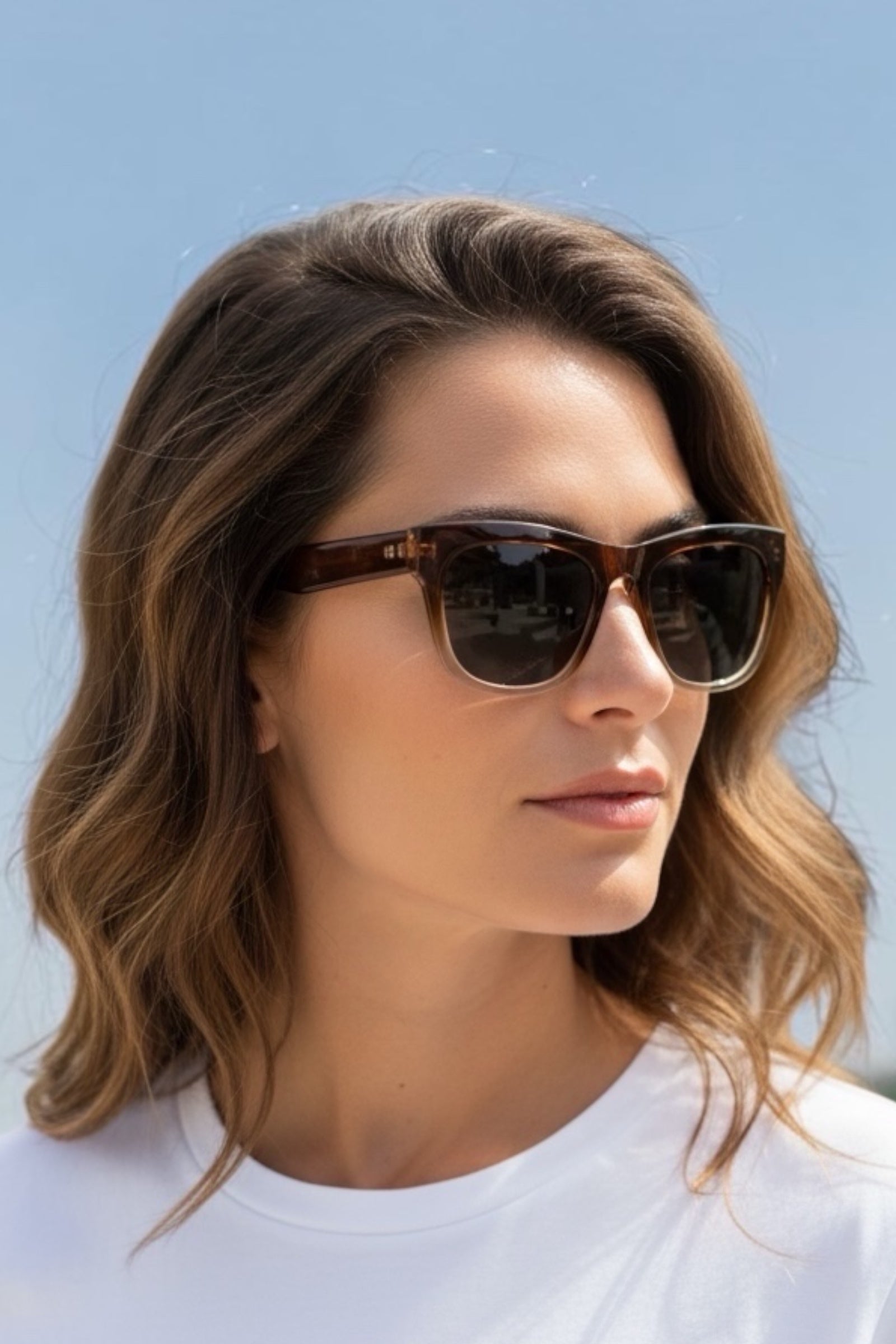 Bro Ombré Frame Brown Sunglasses