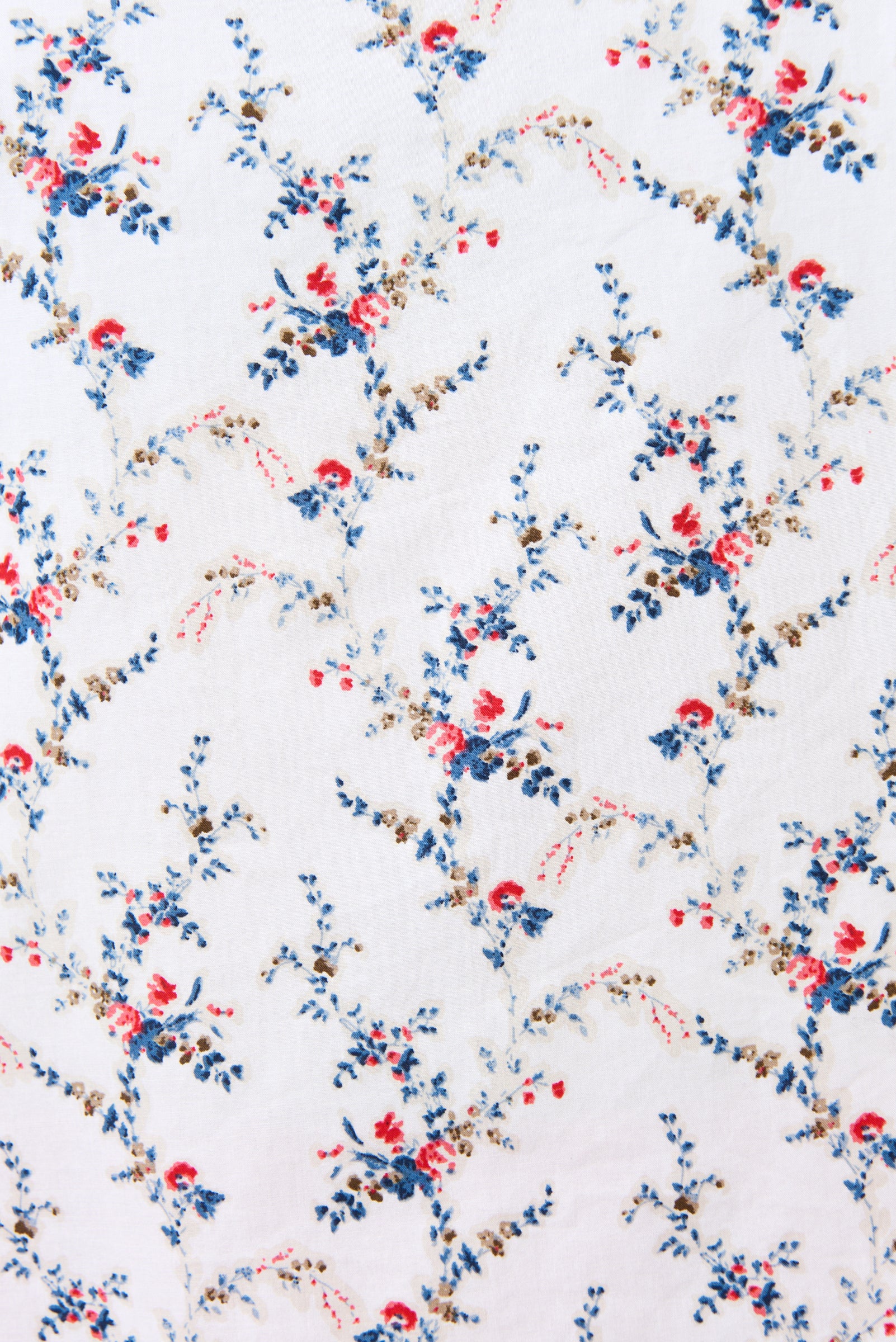 Elois Regency Print Empire Waist Midaxi Dress