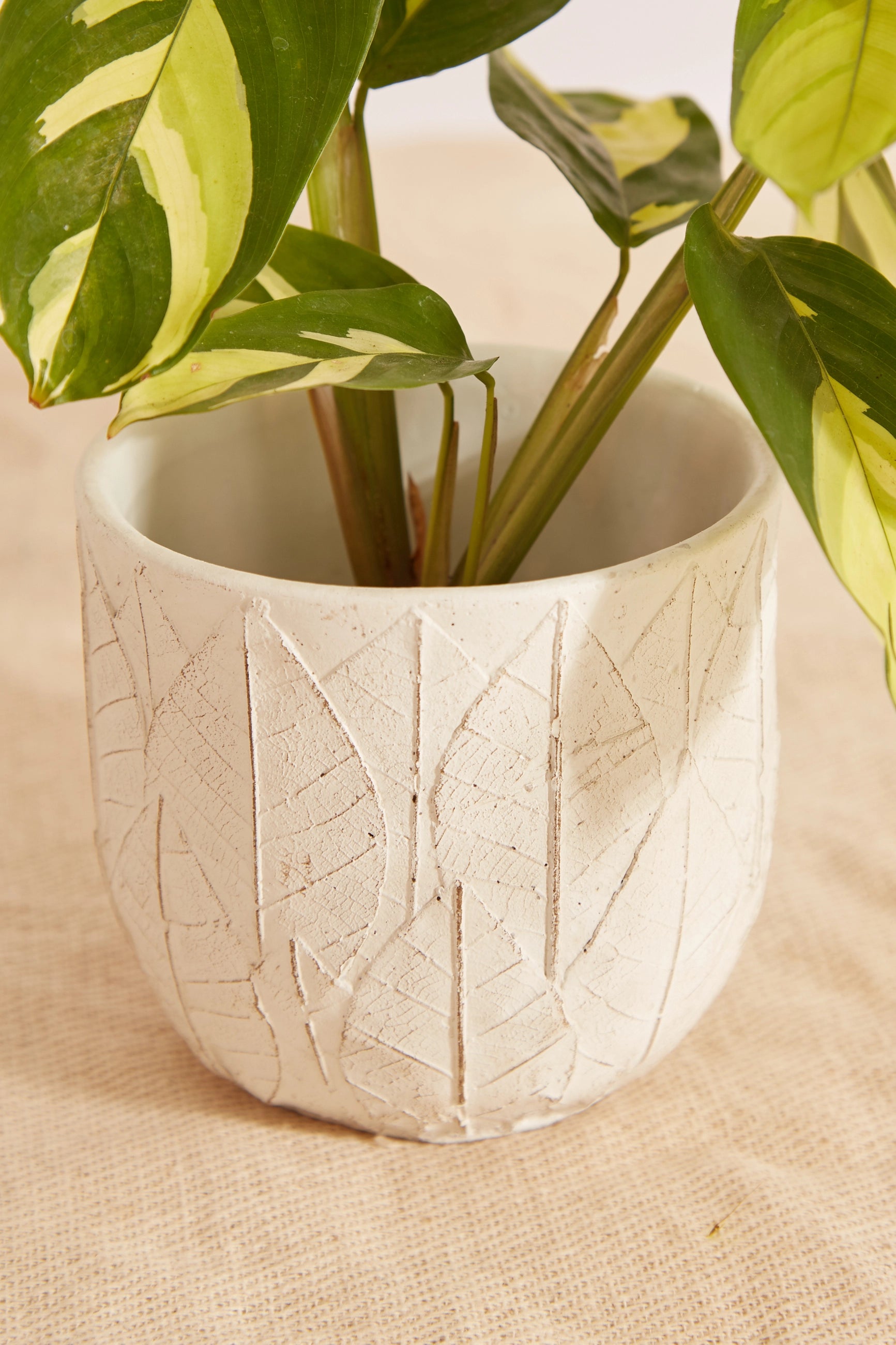 White Embossed Leaf Planter - Detail 1