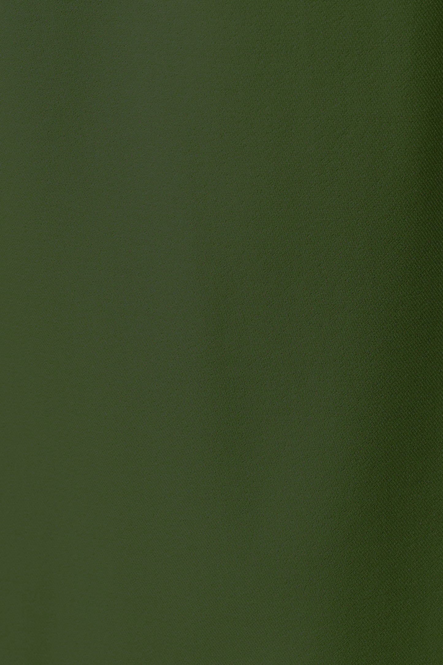 Tyler Pleat Front Wide Leg Trouser - Moss Green