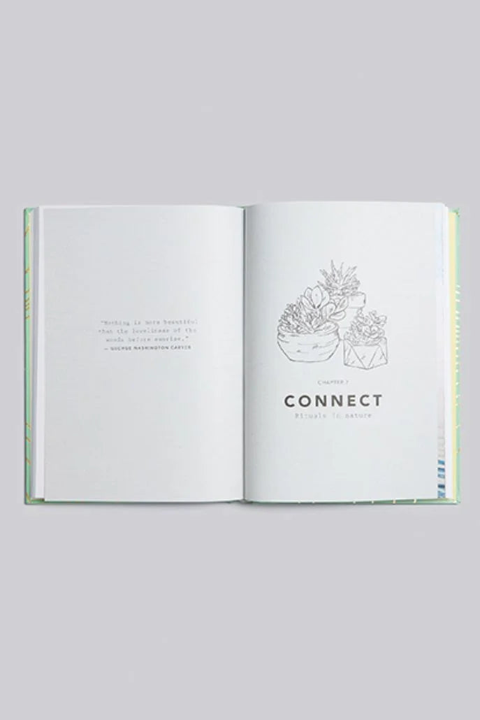 Good Morning Rituals - Detail 1