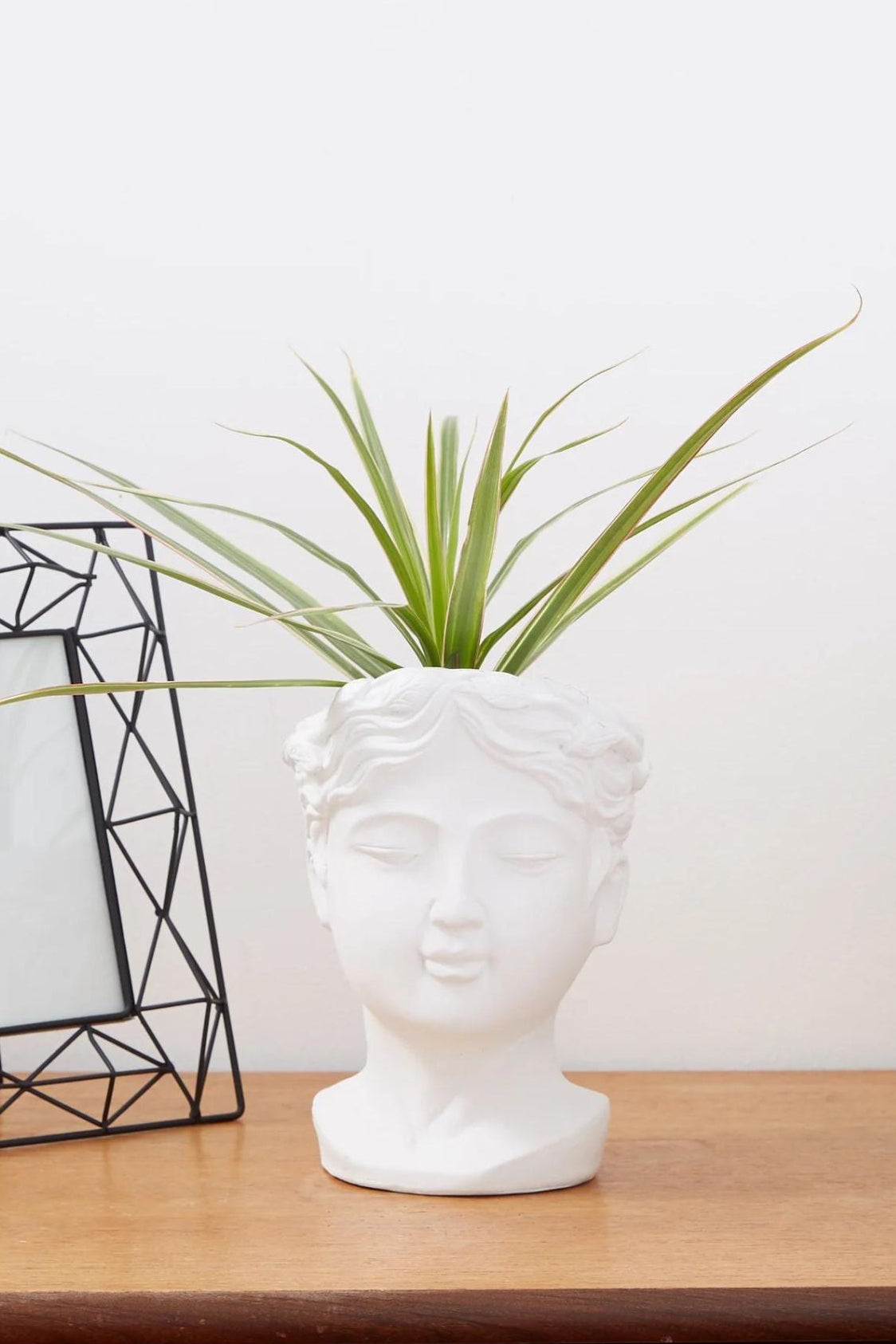Medium Venus Head Planter In White - Front