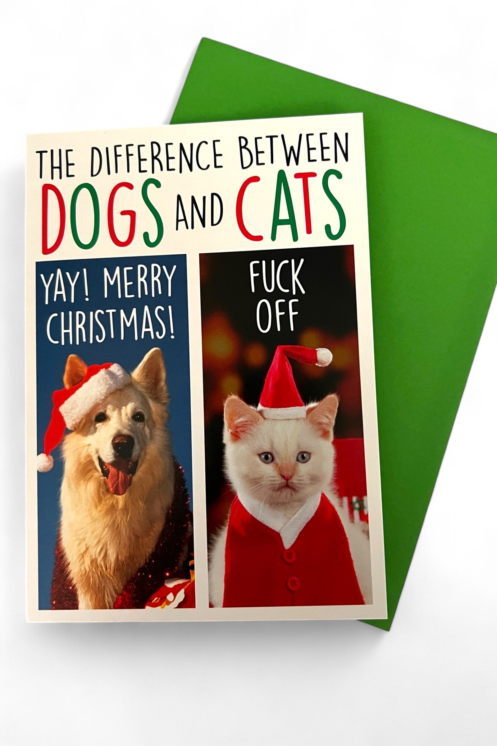 Cats & Dogs Christmas Card JOY
