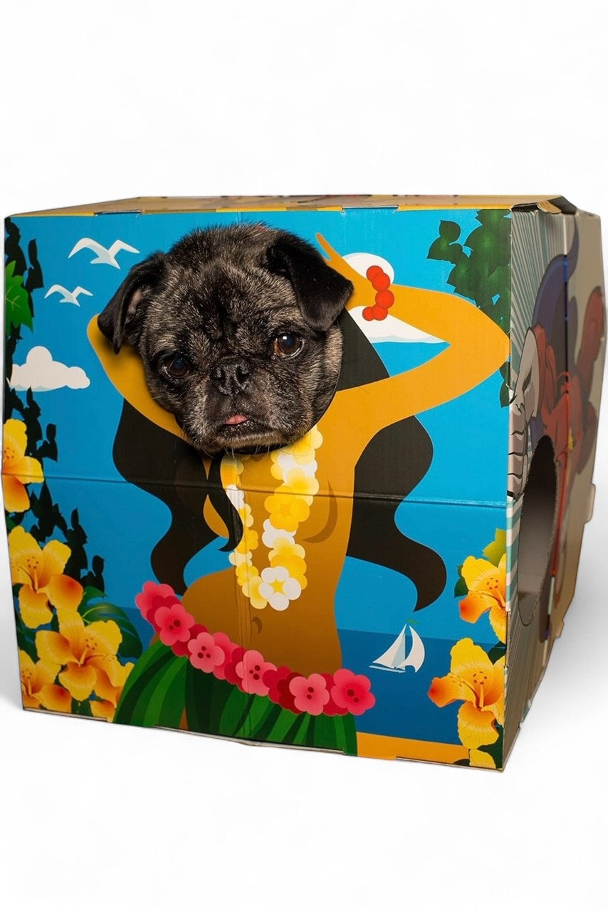 Animal Adventures Pet Photo Booth