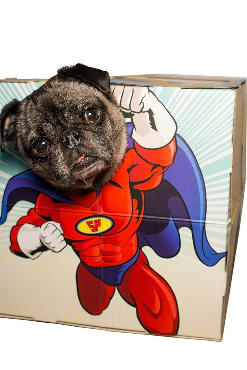 Animal Adventures Pet Photo Booth