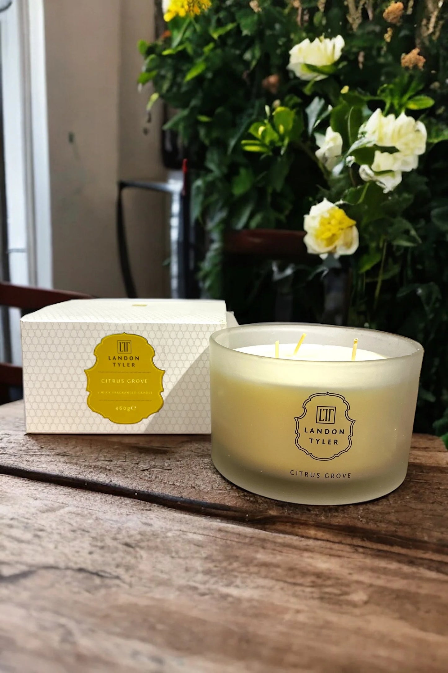 Citrus Grove Scented 3 Wick Candle
