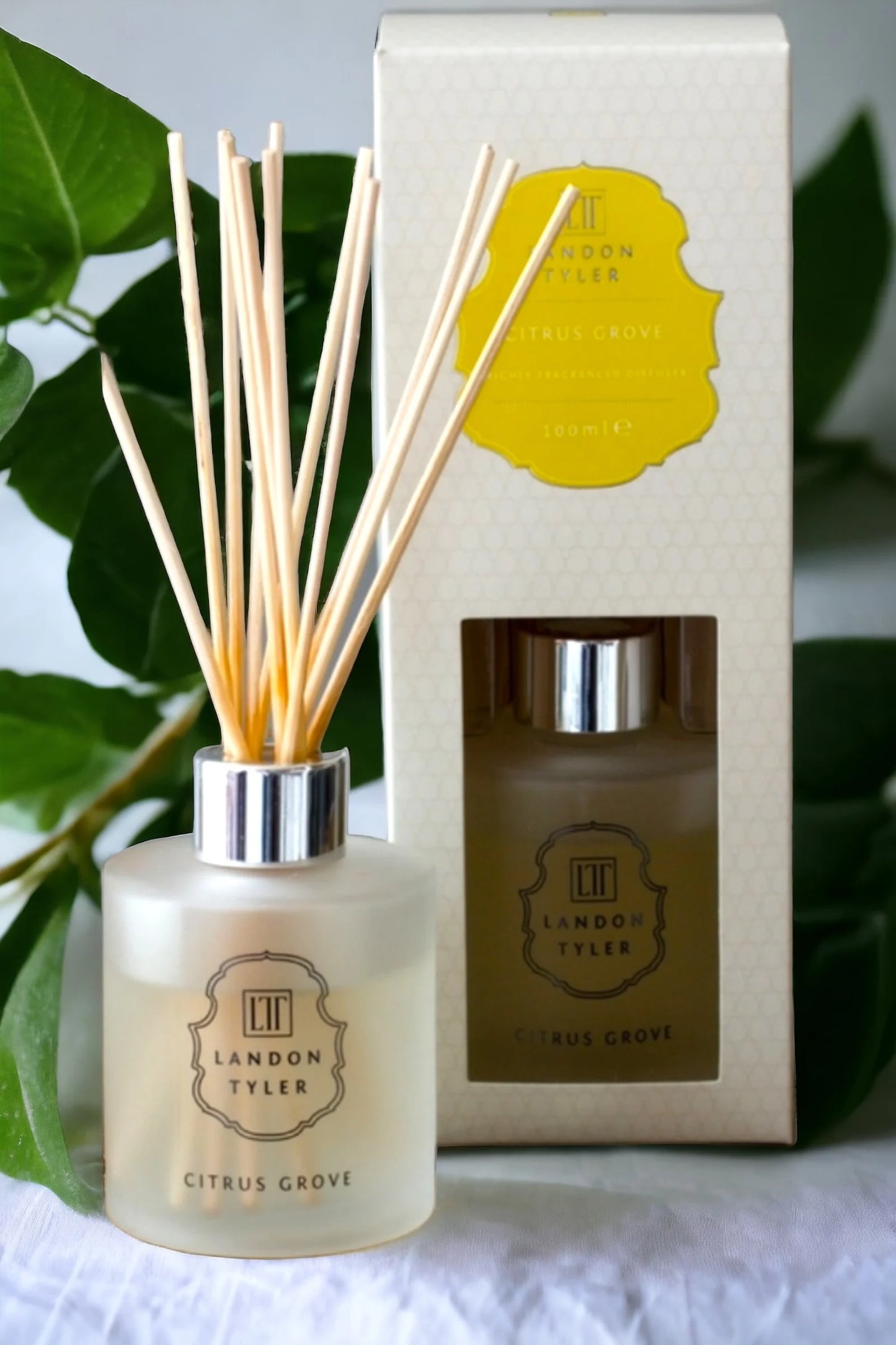 Citrus Grove Scented Diffuser