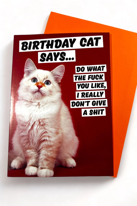 The Birthday Cat Card