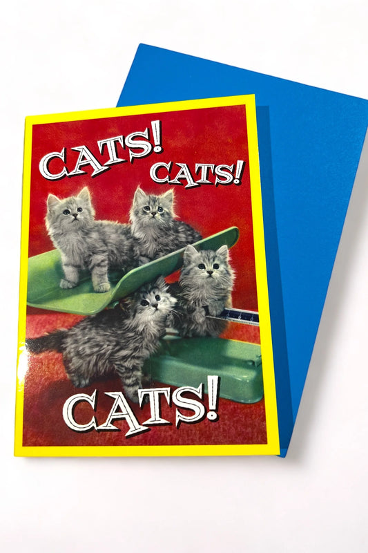 Cats Cats Cats Card