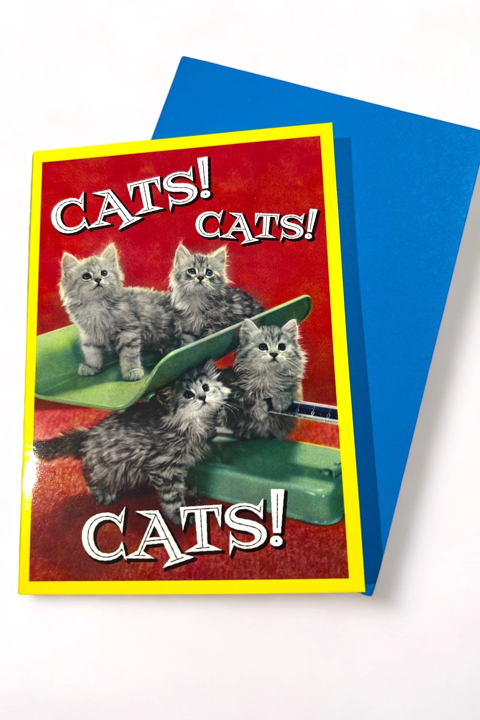 Cats Cats Cats Card