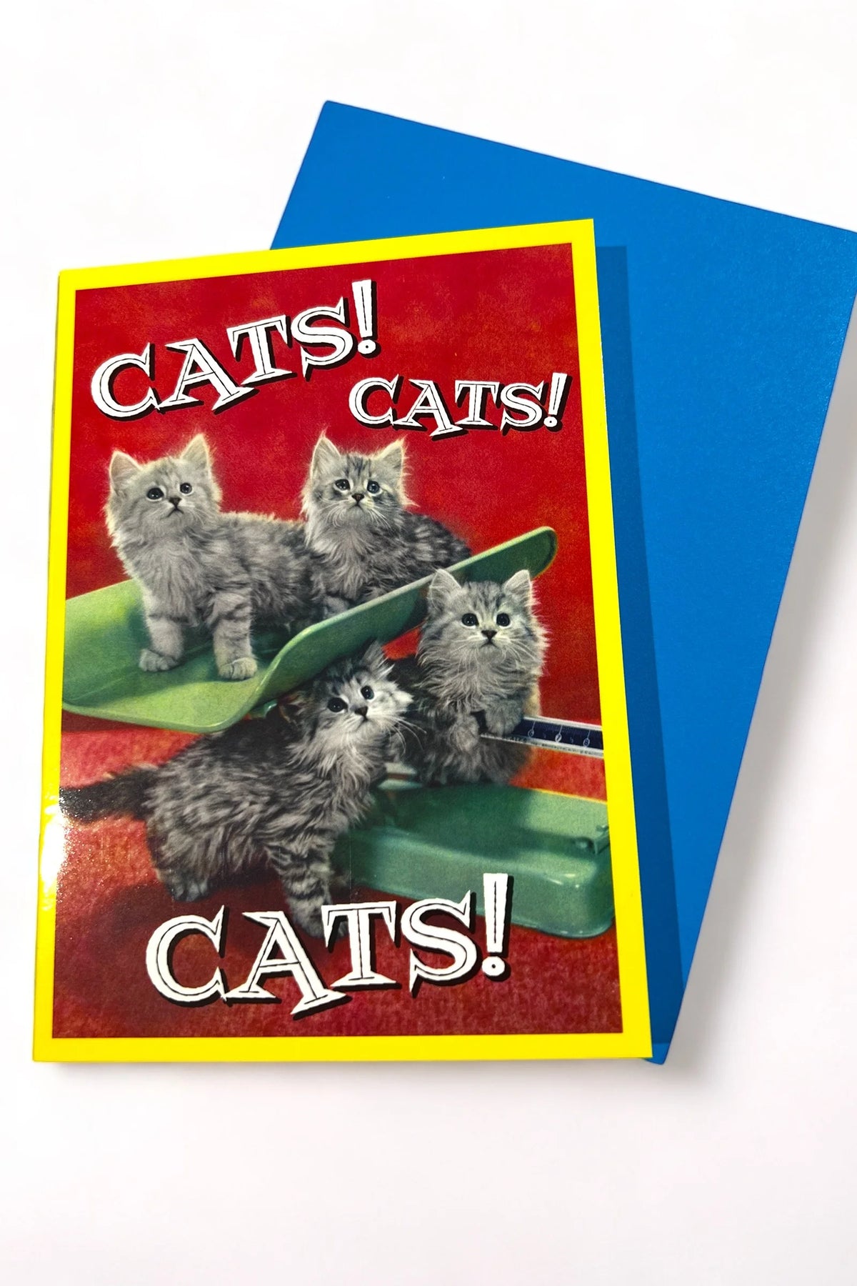 Cats Cats Cats Card