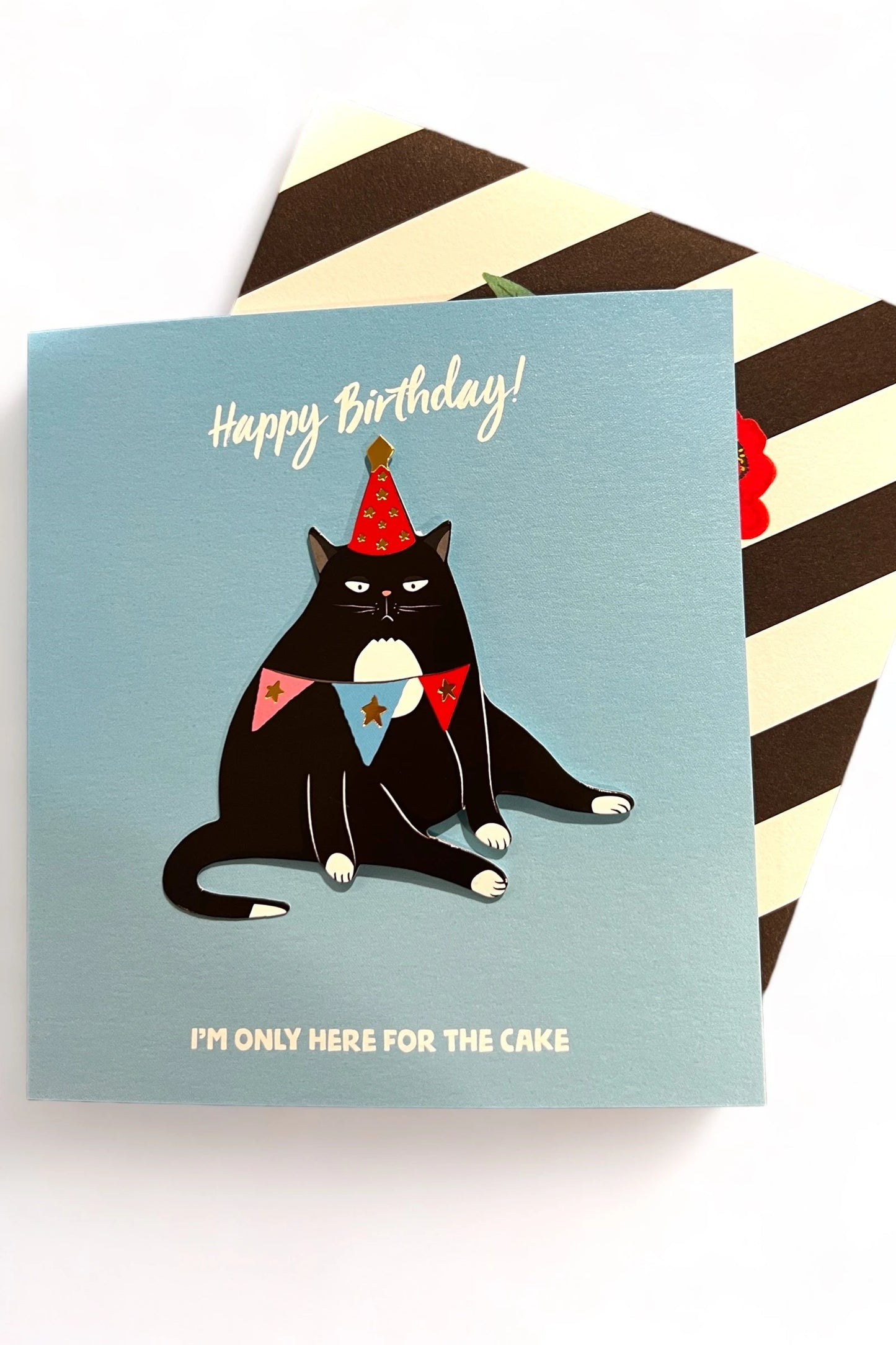 Only Here for the Cake Birthday Card