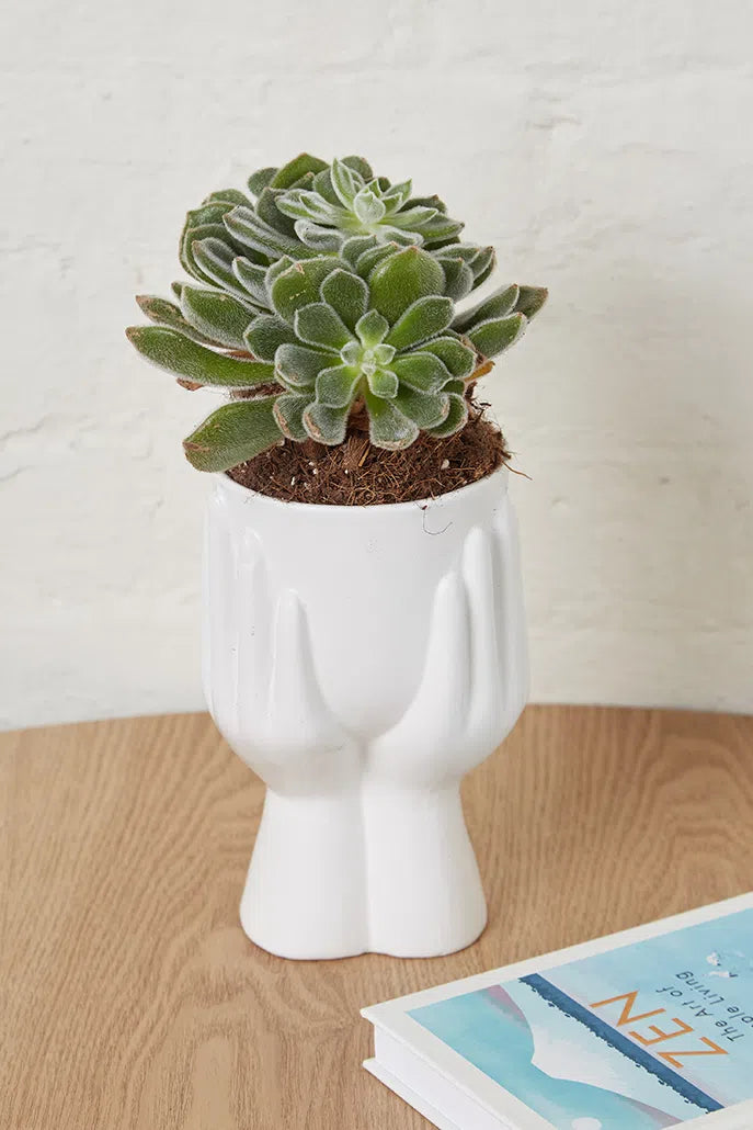 Hand Planter White - Front