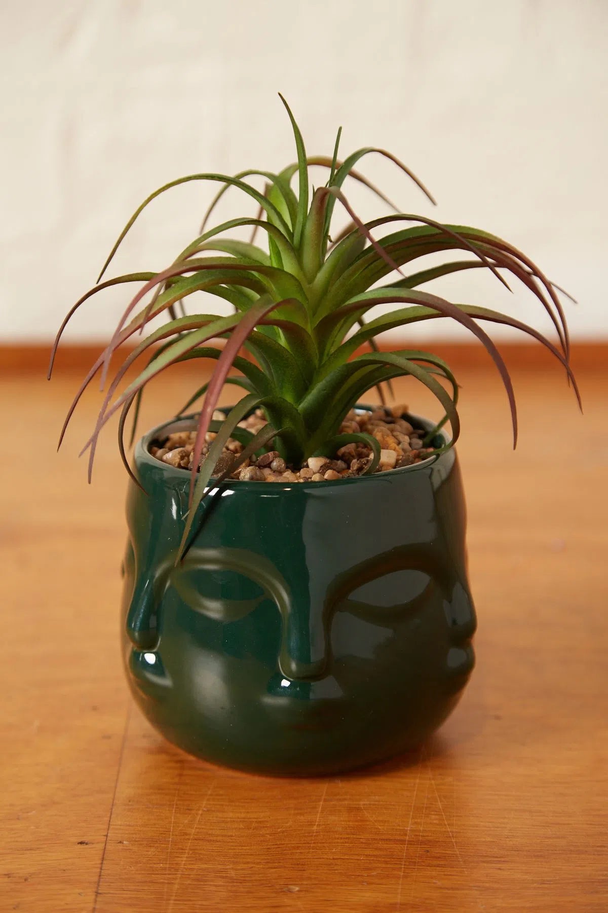 Large Faux Succulent In A Ceramic Face Planter Teal - Front