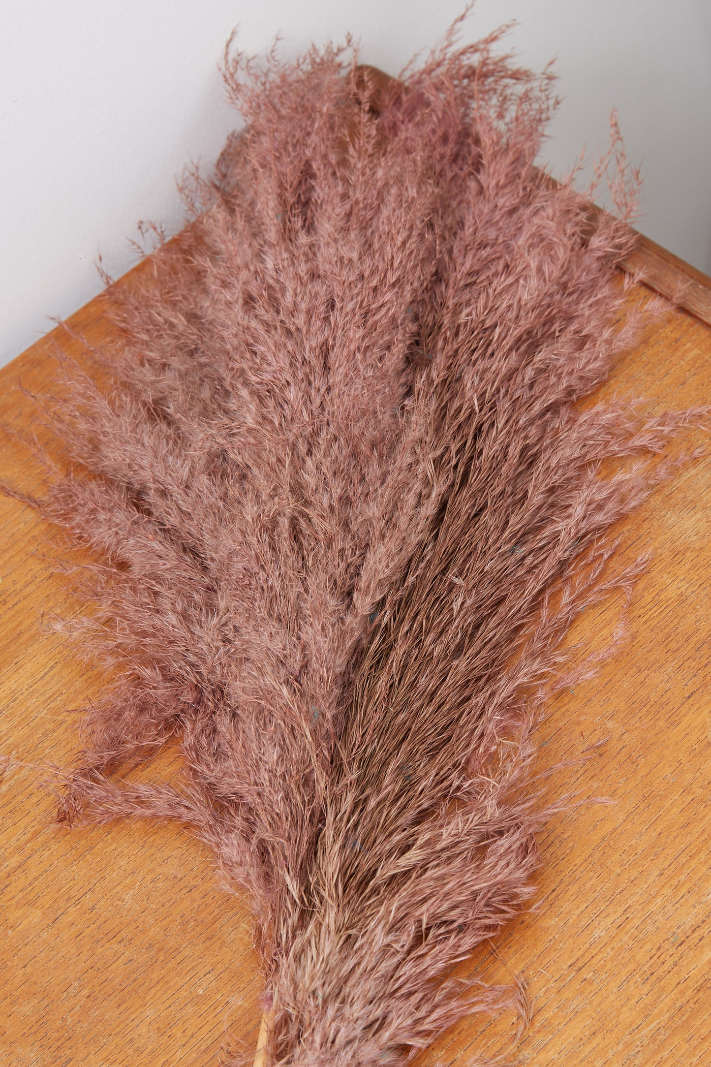 3 Stems of Blush Pink Pampas Grass