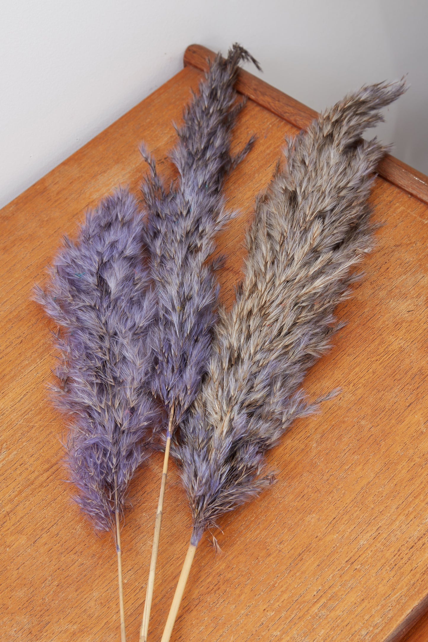 3 Stems of Lavender Pampas Grass