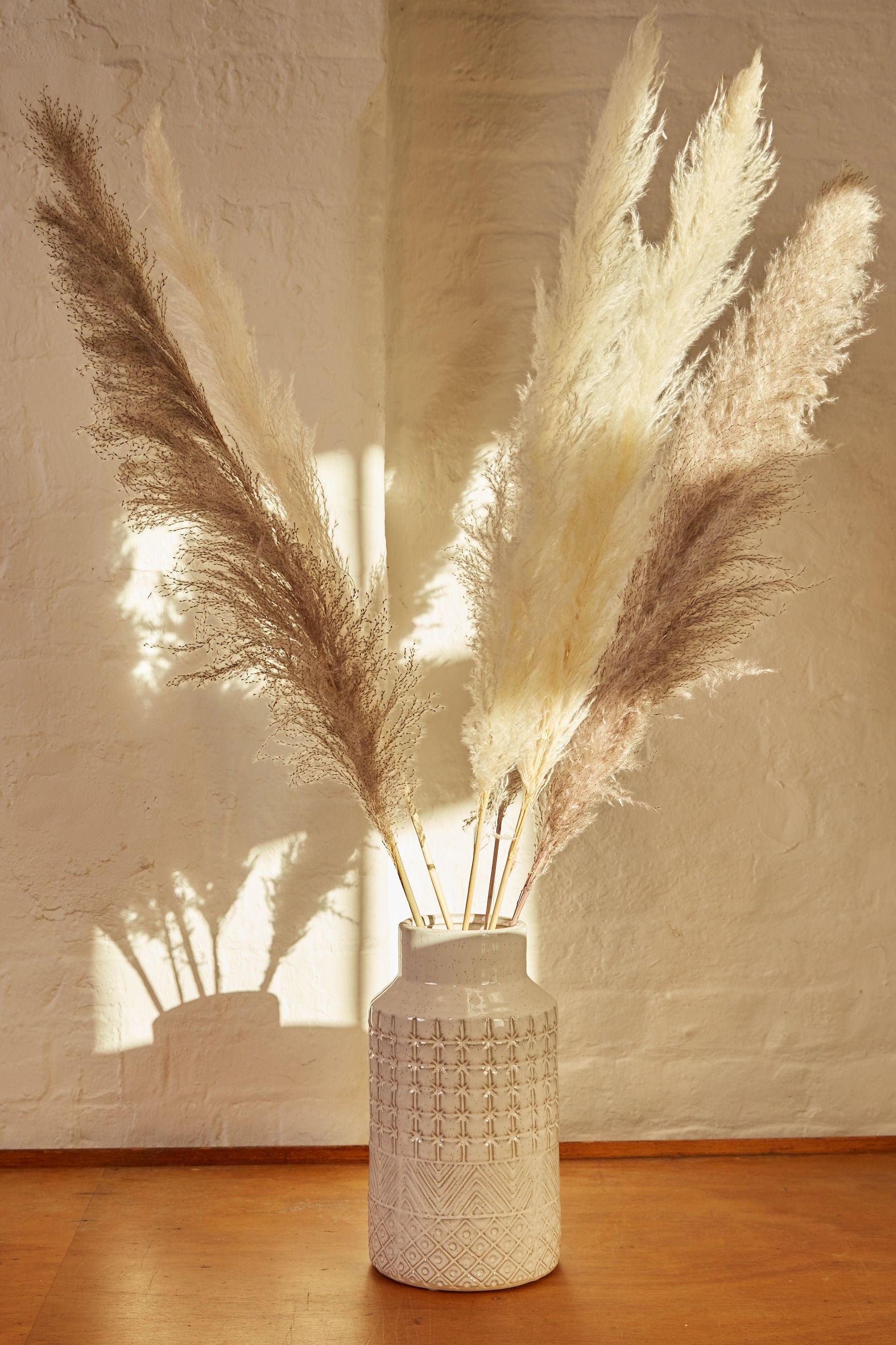 6 Stems Of Natural and Mink Pampas Grass - Front
