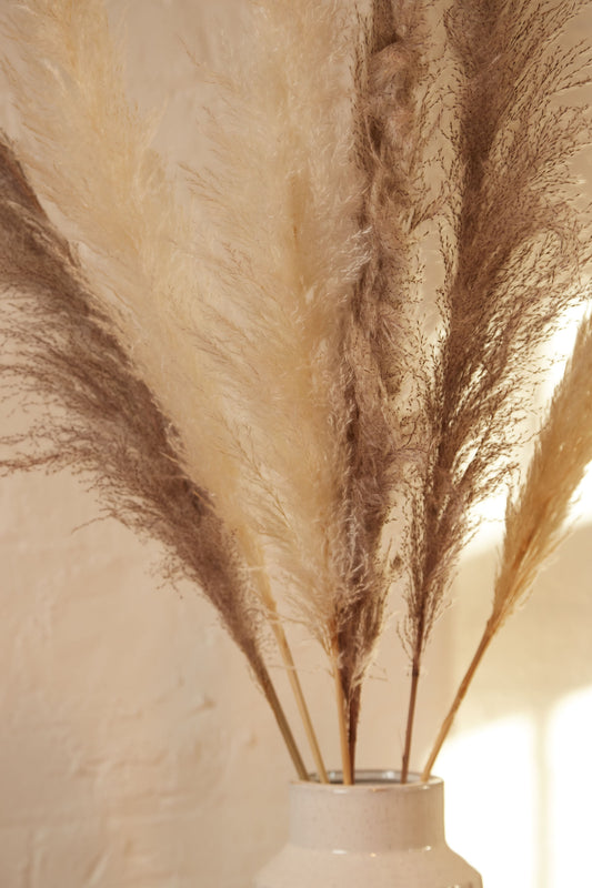 6 Stems Of Natural and Mink Pampas Grass